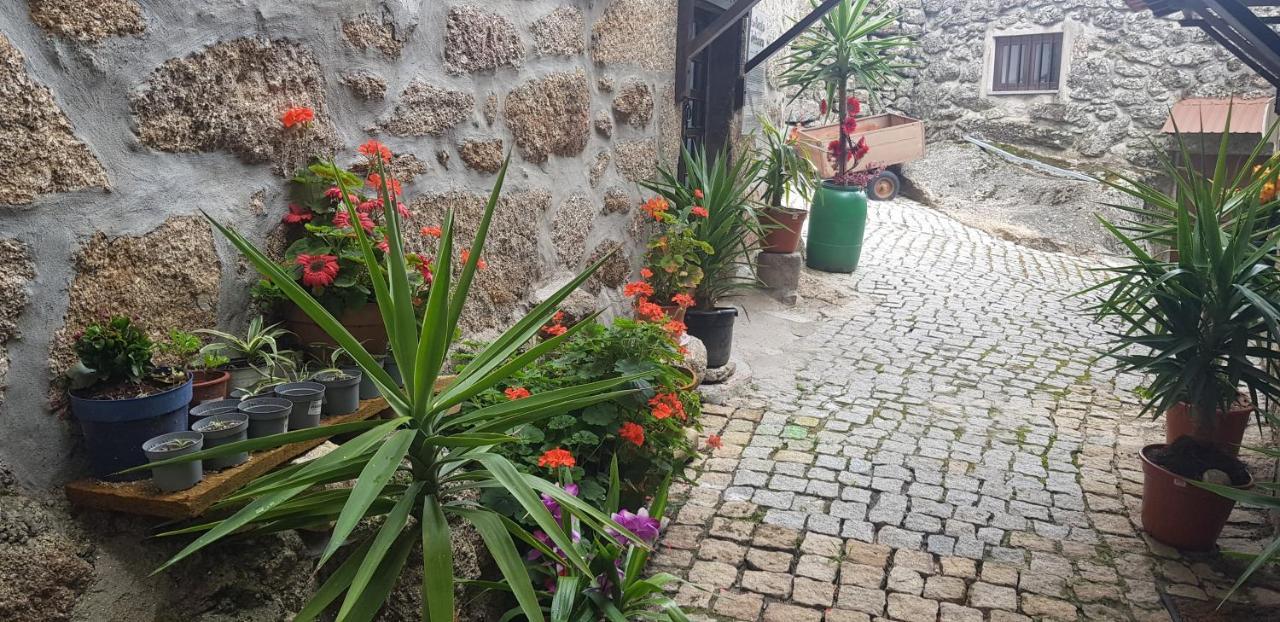 Villa Branca Goncalves Belmonte Belmonte  Esterno foto
