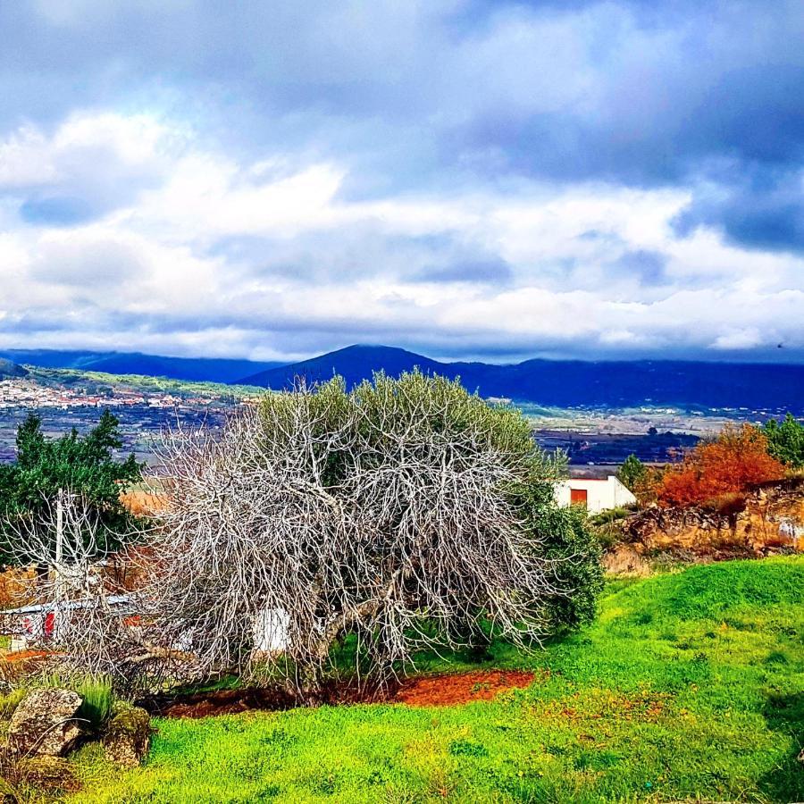Villa Branca Goncalves Belmonte Belmonte  Esterno foto